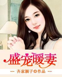 盛宠妻宝全文免费阅读无弹窗