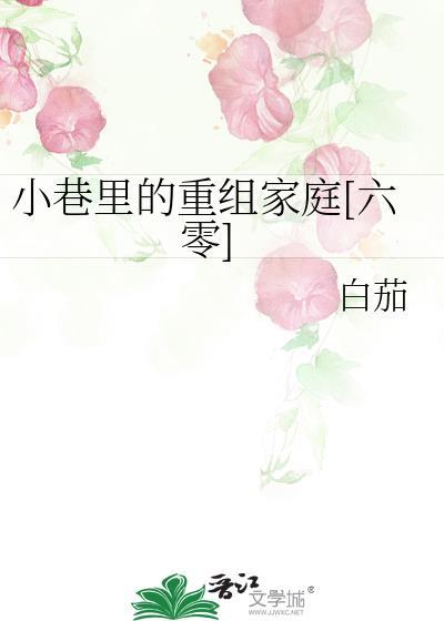 小巷里的重组家庭[六零