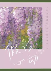 假设心动免费阅读