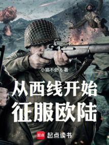 从西线开始征服欧陆全本免费阅读