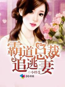 霸道总裁追妻夫人哪里逃