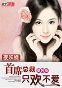 首席的夜妻免费阅读