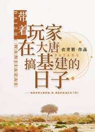 带着玩家回大明