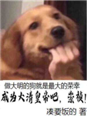 成为崇祯以后