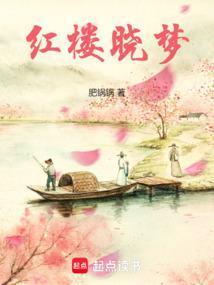 红楼窃玉全文阅读