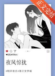 夜风惊扰番外笔趣阁