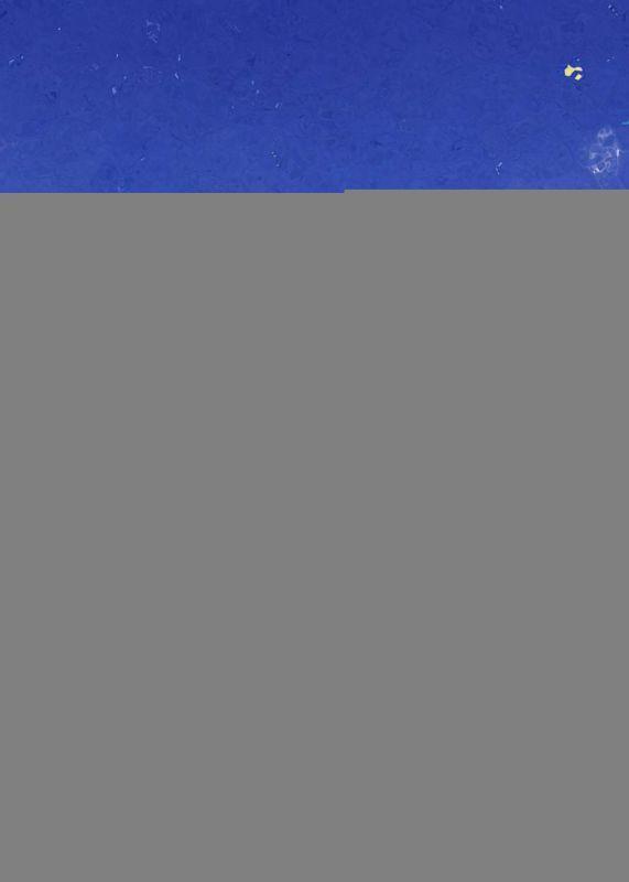 重生后发现闺蜜一直爱着我gl