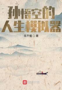 孙悟空的人生模拟器 岳不懂