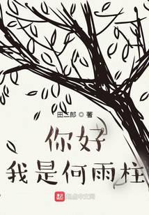 你好我是何雨柱笔趣阁