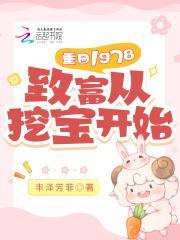 重回1978致富从挖宝开始TXT