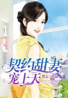 契约甜妻宠上天黑五