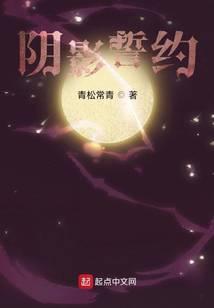 阴影誓约TXT免费