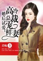 婚后试爱高冷总裁宠鲜妻百度阅读