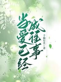 当爱已经成往事免费阅读