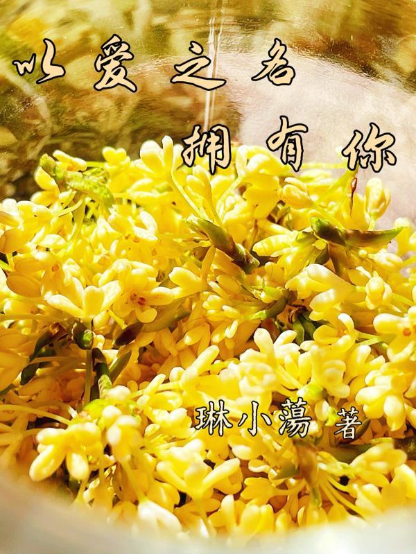 以爱之名拥有你歌词