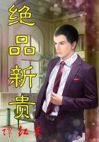 绝品新贵TXT免费