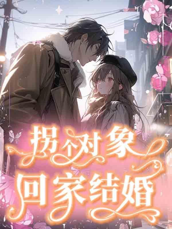 拐个老婆回家过年