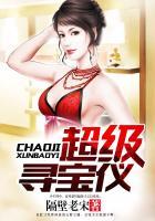 超级寻宝仪 第21章