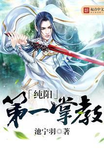 纯阳第一掌教笔趣阁