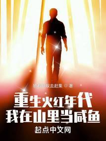 重生火红年代我在山里当咸鱼类似的