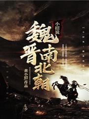 魏晋南北朝说什么话