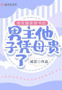 炮灰娘亲穿书后男主他子凭母贵了TXT