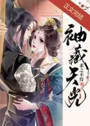 袖藏天光讲的什么