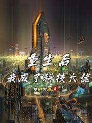 重生后我成了技术宅