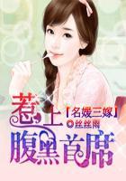 名媛第一嫁总裁的头号新妻