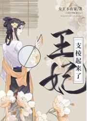 王妃支棱起来了!作者女王不在家