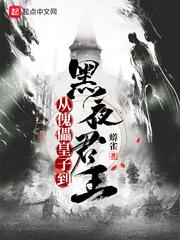 从傀儡皇子到黑夜君王笔趣阁