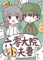 六零大院小夫妻日常全文免费阅读