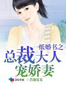 纸婚厚爱总裁大人轻装上阵
