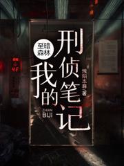 至暗森林我的刑侦笔记真相