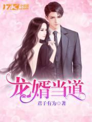 龙婿当道在线阅读