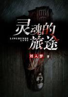 灵魂的旅途作文