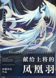 献给上将的凤凰羽百度