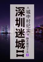 深圳迷城2城中村纪实结局