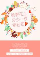 甜宠娇妻冷少狠专一