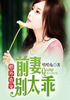 婚外欢宠前妻别太乖