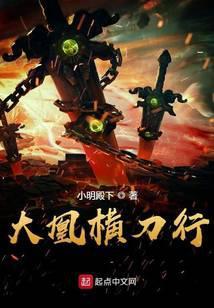 雪中横刀行电视剧