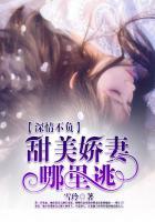 甜美娇妻哪里逃