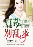 暴戾总裁别太狠