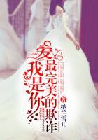 是你最完美的欺诈英语