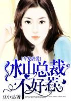 冰山总裁专属的恋人gl