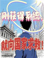 获得系统建立国家