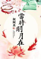 当时明月在什么意思