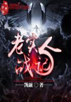 老实人超战斗dvd