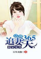 总裁追妻365天免费阅读