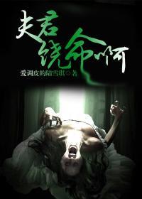 夫君饶命啊全文免费阅读